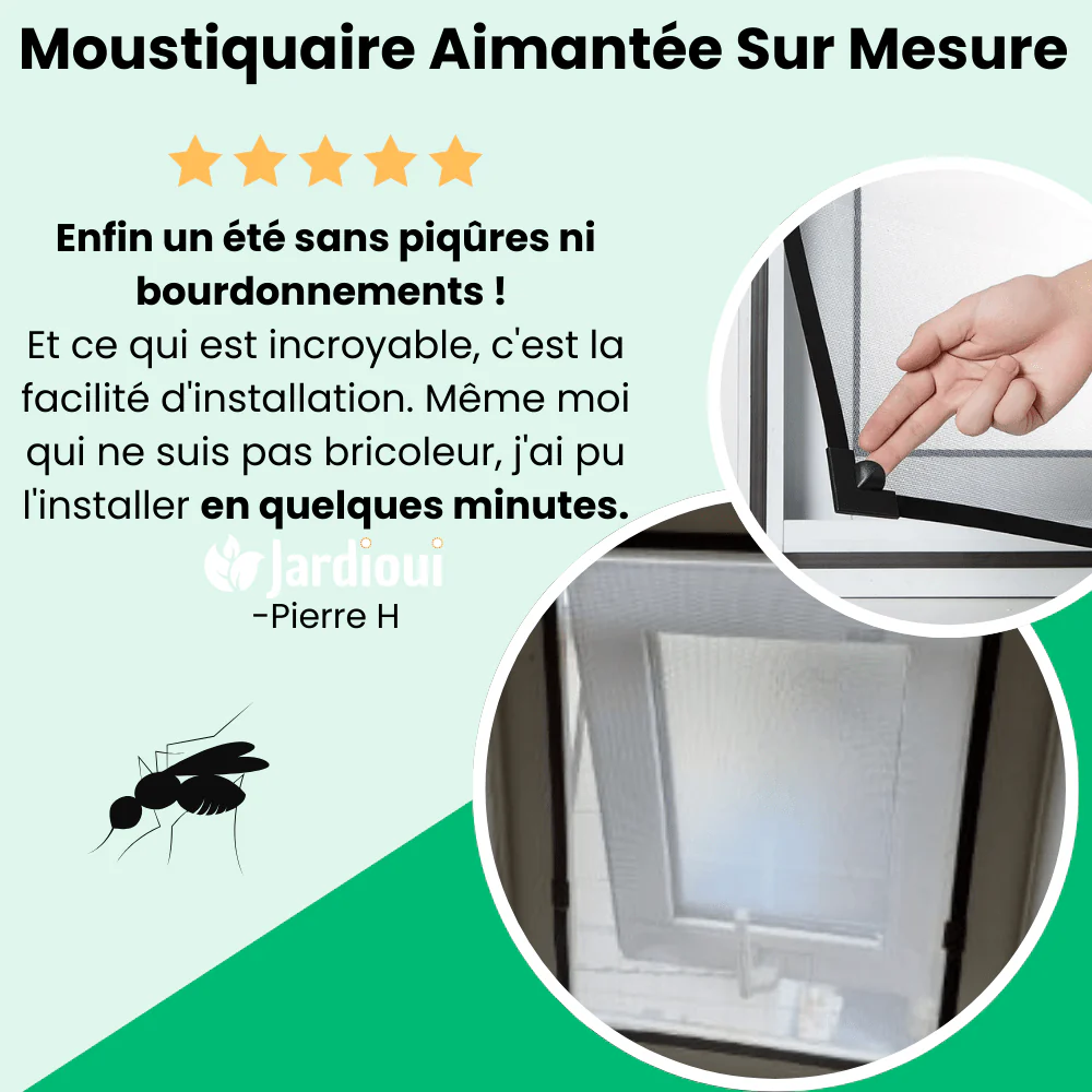 Miniature 5